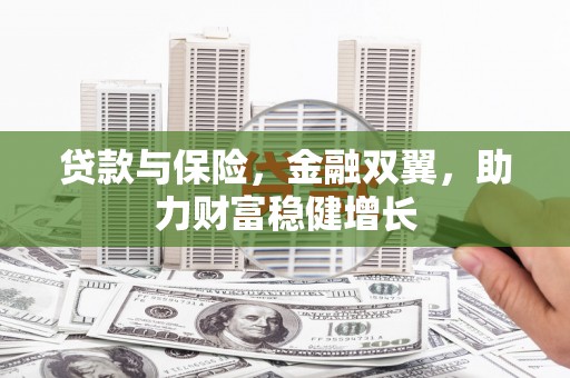 洞口贷款与保险，金融双翼，助力财富稳健增长