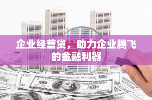 洞口企业经营贷，助力企业腾飞的金融利器
