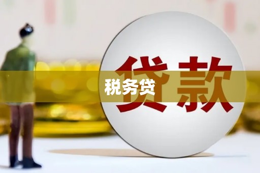 洞口税务贷