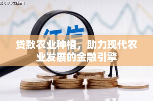 洞口贷款农业种植，助力现代农业发展的金融引擎