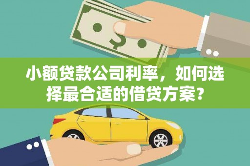 洞口小额贷款公司利率，如何选择最合适的借贷方案？
