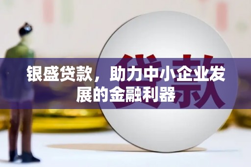 洞口银盛贷款，助力中小企业发展的金融利器