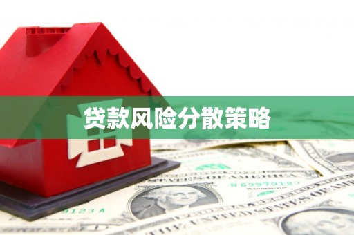 洞口贷款风险分散策略