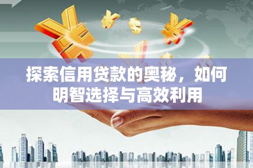 洞口探索信用贷款的奥秘，如何明智选择与高效利用