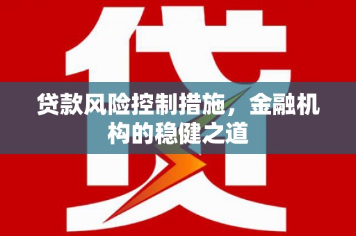 洞口贷款风险控制措施，金融机构的稳健之道