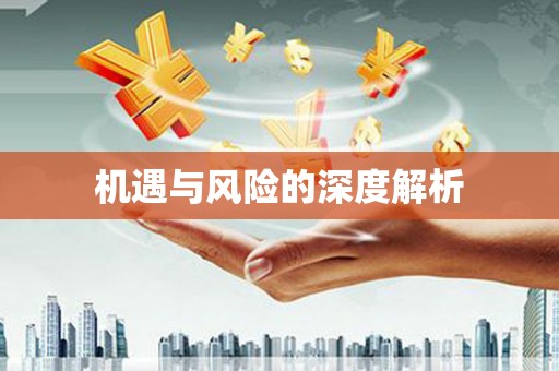 洞口机遇与风险的深度解析