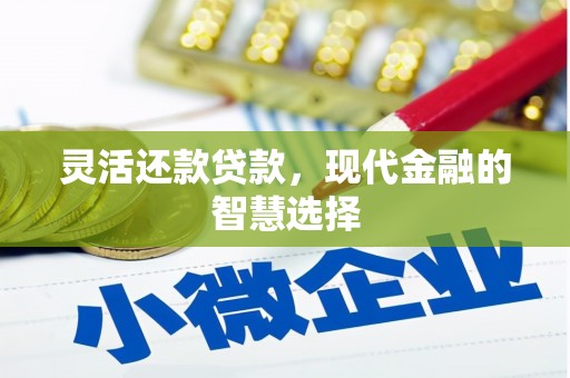 洞口灵活还款贷款，现代金融的智慧选择