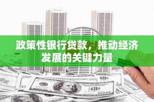 洞口政策性银行贷款，推动经济发展的关键力量