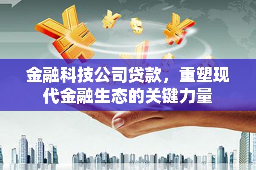 洞口金融科技公司贷款，重塑现代金融生态的关键力量