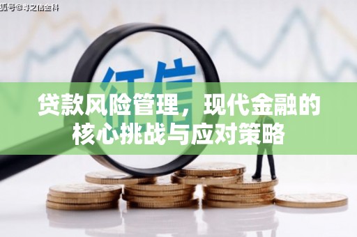 洞口贷款风险管理，现代金融的核心挑战与应对策略