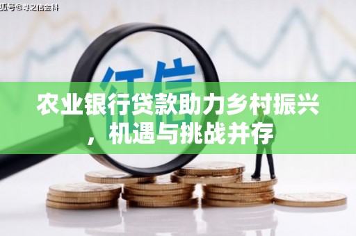 洞口农业银行贷款助力乡村振兴，机遇与挑战并存