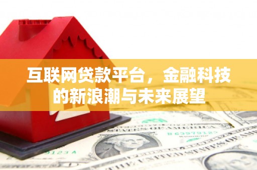洞口互联网贷款平台，金融科技的新浪潮与未来展望