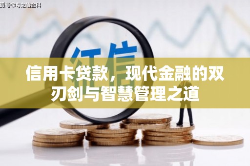 洞口信用卡贷款，现代金融的双刃剑与智慧管理之道