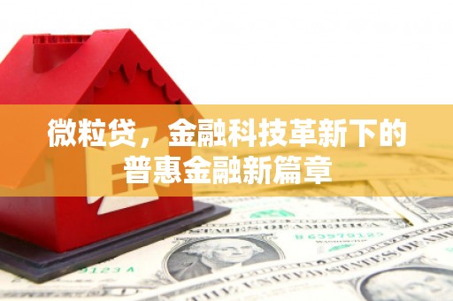 洞口微粒贷，金融科技革新下的普惠金融新篇章