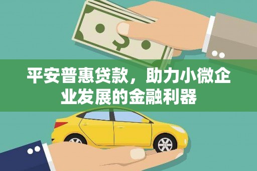 洞口平安普惠贷款，助力小微企业发展的金融利器