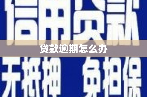 洞口贷款逾期怎么办