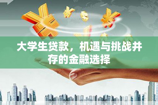 洞口大学生贷款，机遇与挑战并存的金融选择
