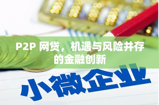 洞口P2P 网贷，机遇与风险并存的金融创新