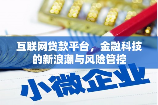 洞口互联网贷款平台，金融科技的新浪潮与风险管控