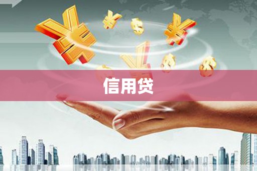洞口信用贷