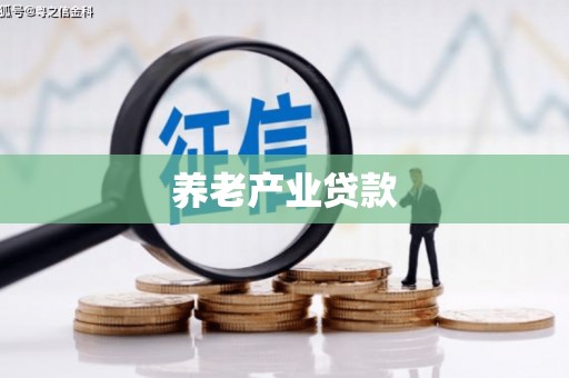 洞口养老产业贷款