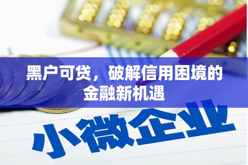 洞口黑户可贷，破解信用困境的金融新机遇
