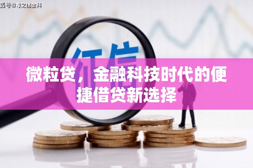 洞口微粒贷，金融科技时代的便捷借贷新选择