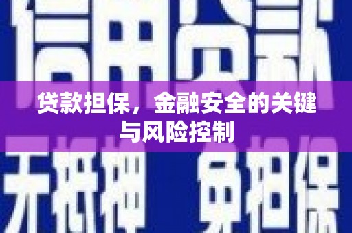 洞口贷款担保，金融安全的关键与风险控制