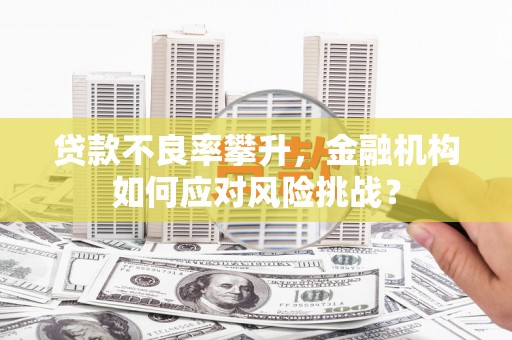 洞口贷款不良率攀升，金融机构如何应对风险挑战？