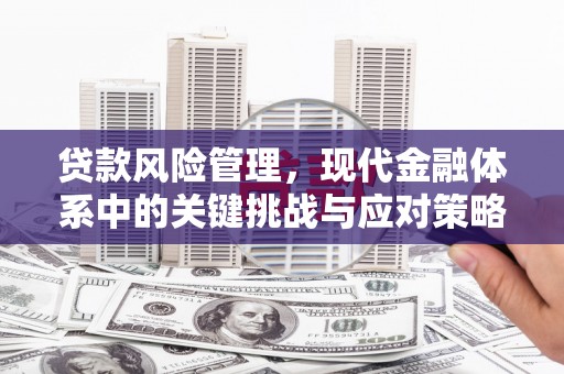 洞口贷款风险管理，现代金融体系中的关键挑战与应对策略