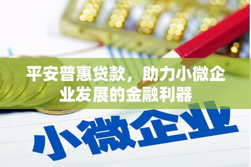 洞口平安普惠贷款，助力小微企业发展的金融利器