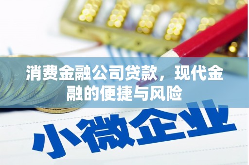洞口消费金融公司贷款，现代金融的便捷与风险