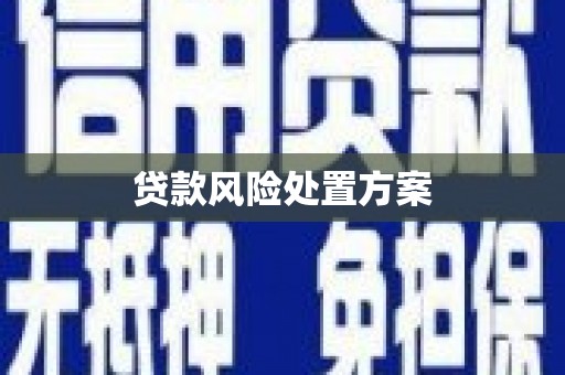 洞口贷款风险处置方案