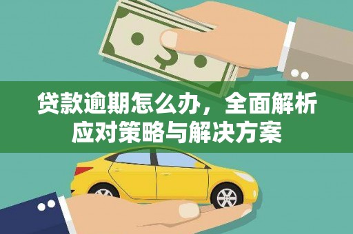 洞口贷款逾期怎么办，全面解析应对策略与解决方案