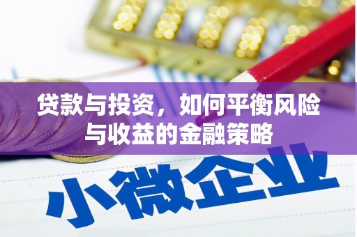 洞口贷款与投资，如何平衡风险与收益的金融策略