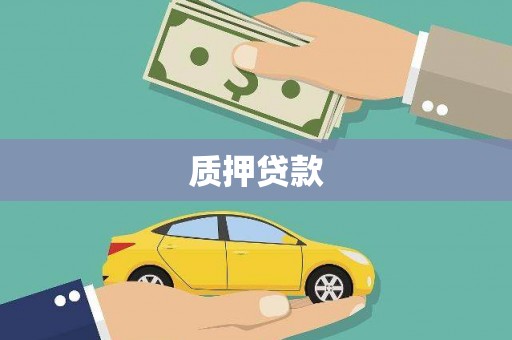 洞口质押贷款
