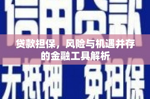 洞口贷款担保，风险与机遇并存的金融工具解析