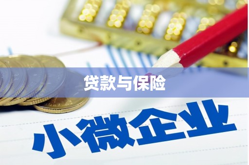 洞口贷款与保险