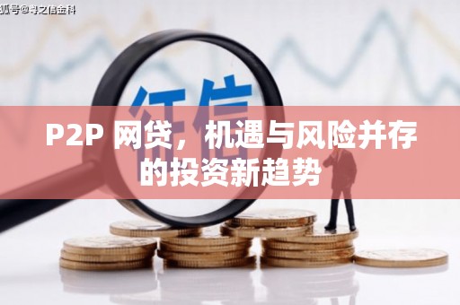 洞口P2P 网贷，机遇与风险并存的投资新趋势