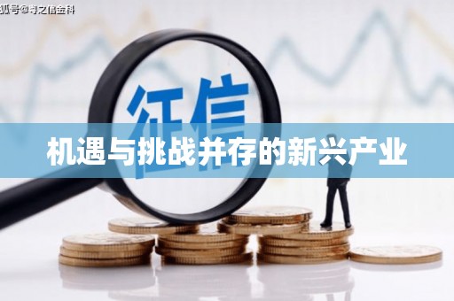 洞口机遇与挑战并存的新兴产业
