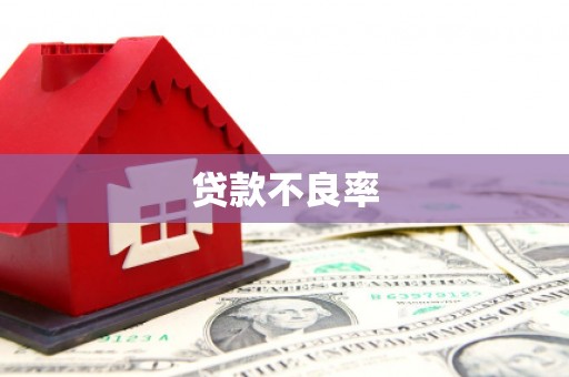 洞口贷款不良率