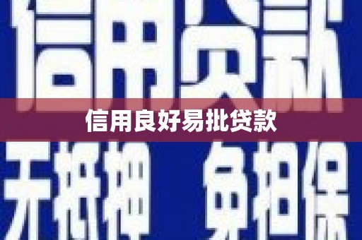 洞口信用良好易批贷款