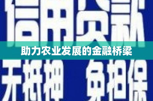 洞口助力农业发展的金融桥梁