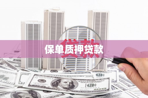洞口保单质押贷款
