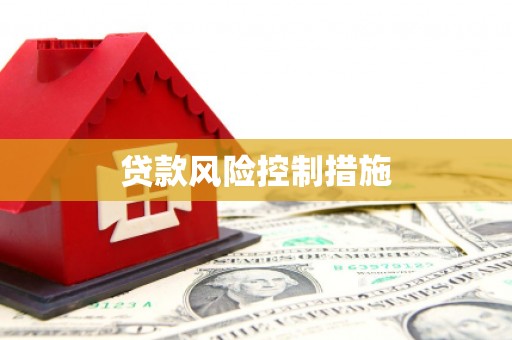 洞口贷款风险控制措施