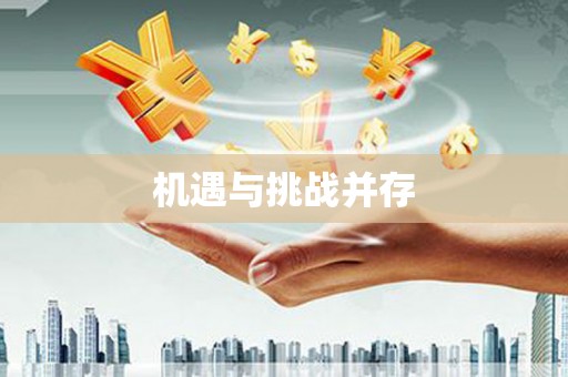 洞口机遇与挑战并存 洞口机遇与挑战并存