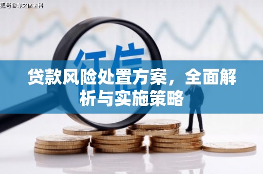 洞口贷款风险处置方案，全面解析与实施策略