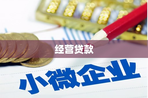 洞口经营贷款